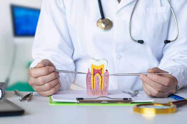 Best Emergency Root Canal Treatment in Fort Recovery, OH